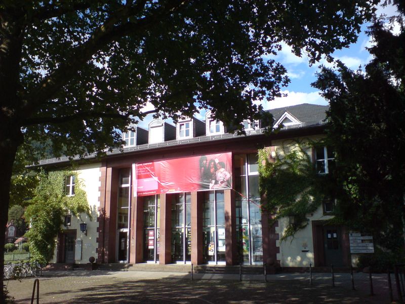 Next Stop Heidelberg, 10 Do’s and Don’ts Return Thanks to Ulrike